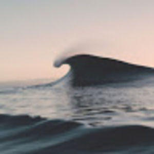 Meet your Posher, Kendall